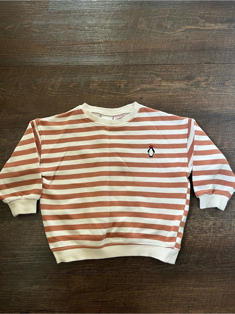 Zara Cream and Rust Striped Kids Crewneck Sweater